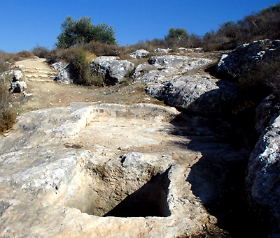 Winepress at Neot Qedumim